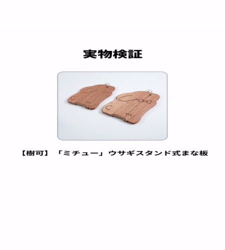 実物検証