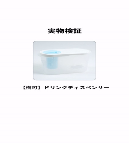 実物検証