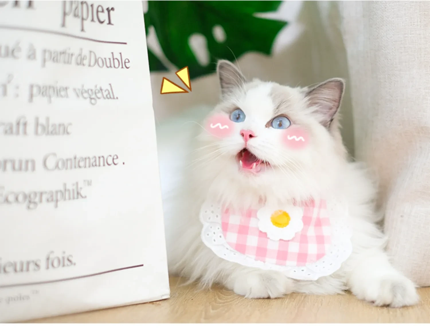 574632758933106688.png?x-oss-process=image/format,webp