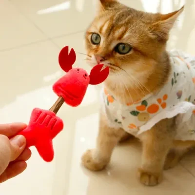 【KARA PET】インタラクティブな 木製 の 猫 の おもちゃ 屋内 の 子猫 の おもちゃ 