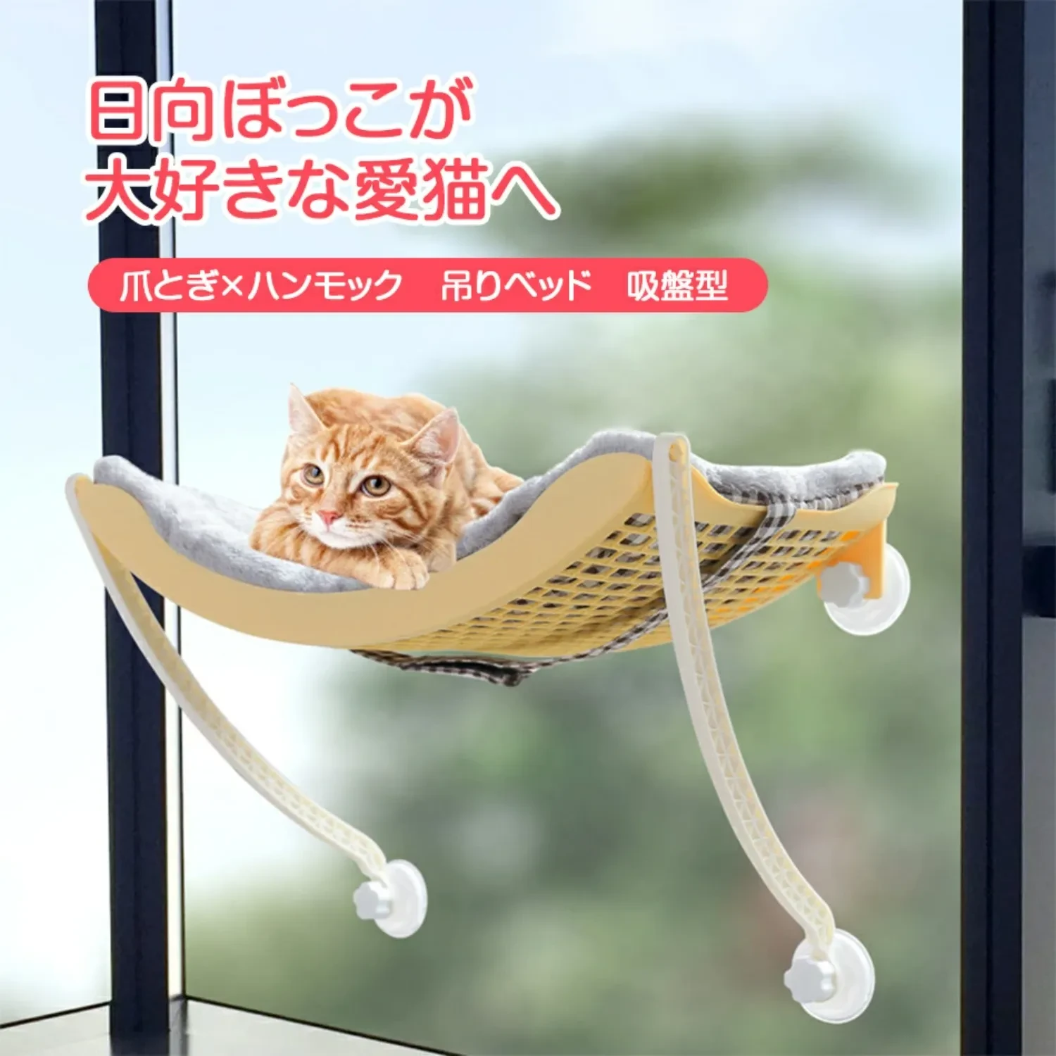 578233034424365056.png?x-oss-process=image/format,webp