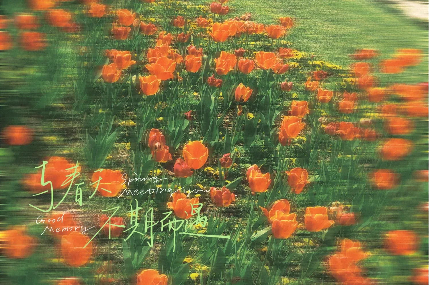 581569548331954176.png?x-oss-process=image/format,webp