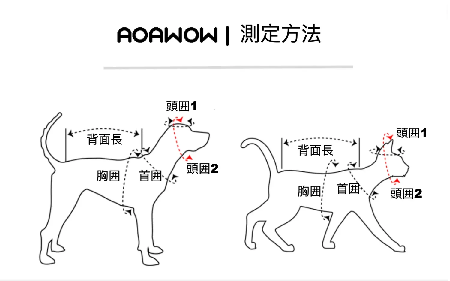 584808551931883520.png?x-oss-process=image/format,webp