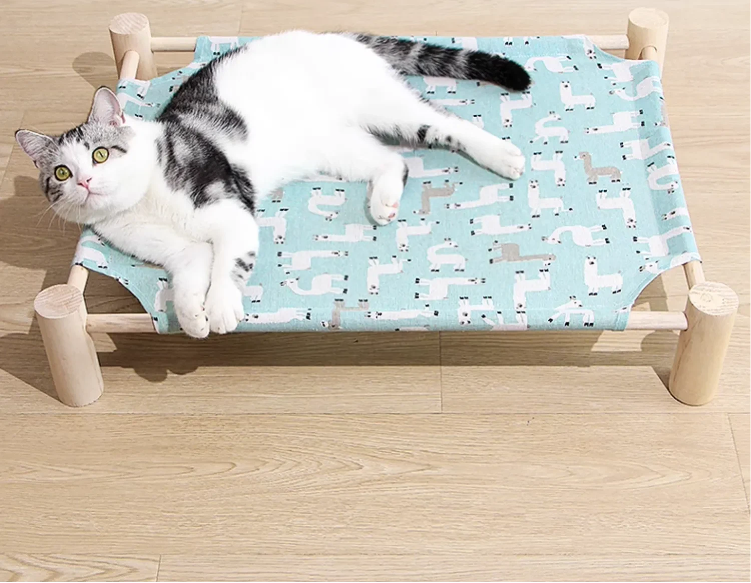 585212191557464064.png?x-oss-process=image/format,webp