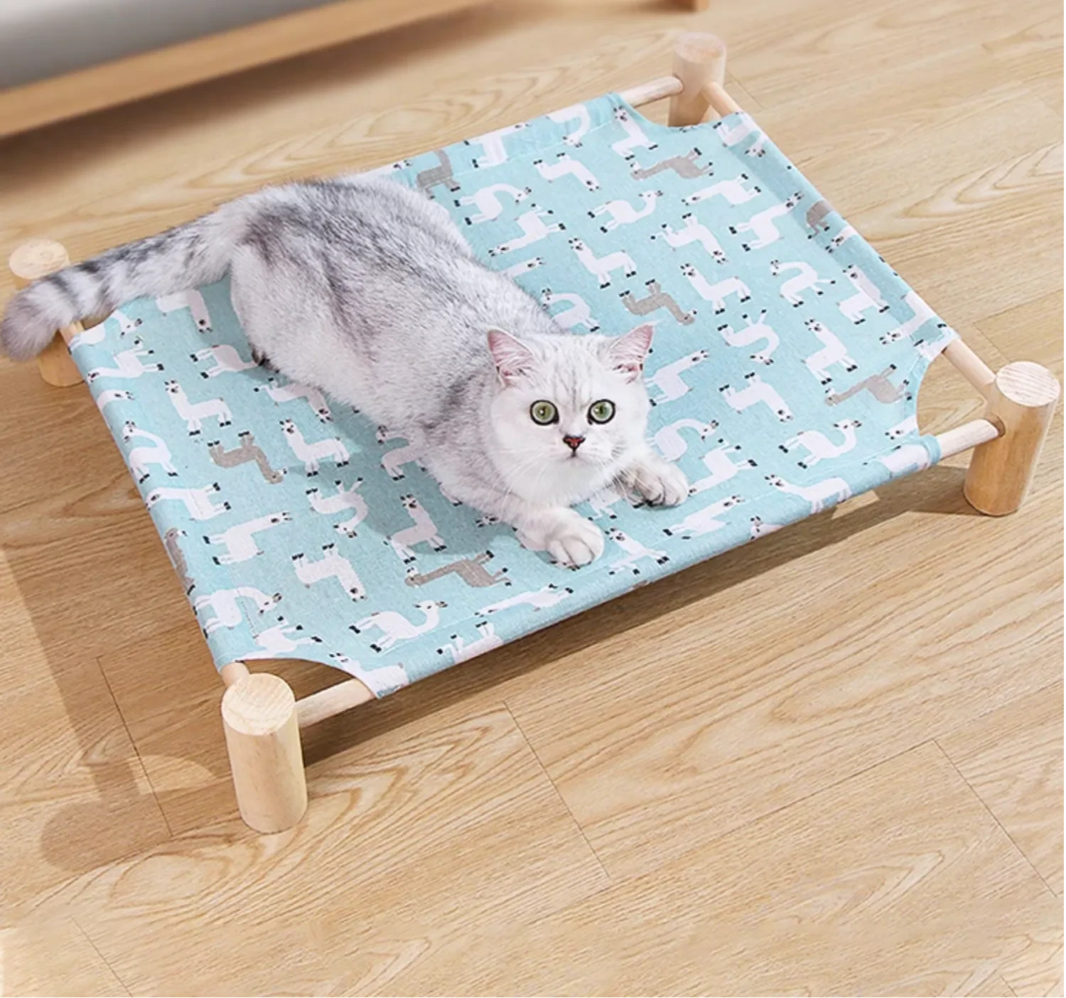 585212191624572928.png?x-oss-process=image/format,webp