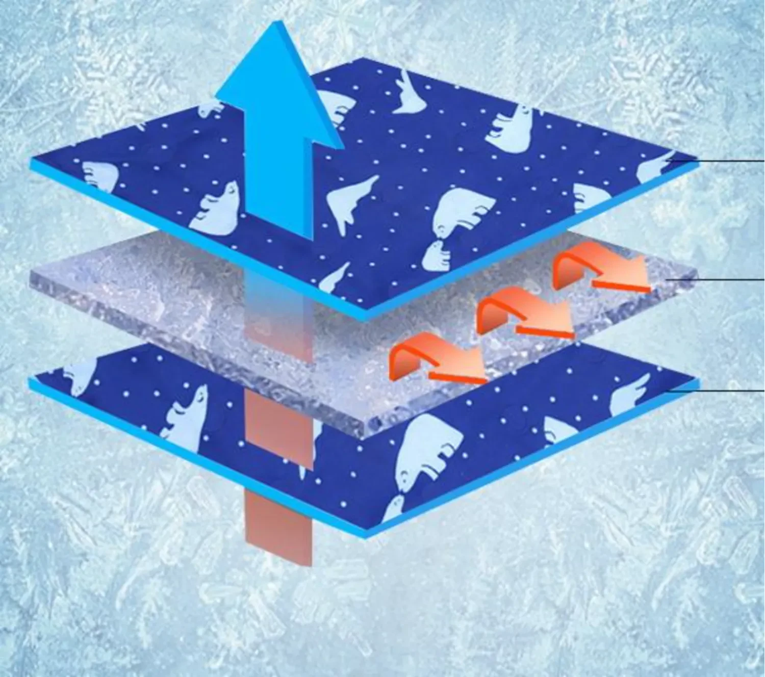 587326039999553536.png?x-oss-process=image/format,webp