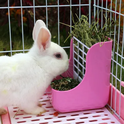 ウサギ用2in1フードボウル｜草箱＆給餌一体式 食べやすい構造