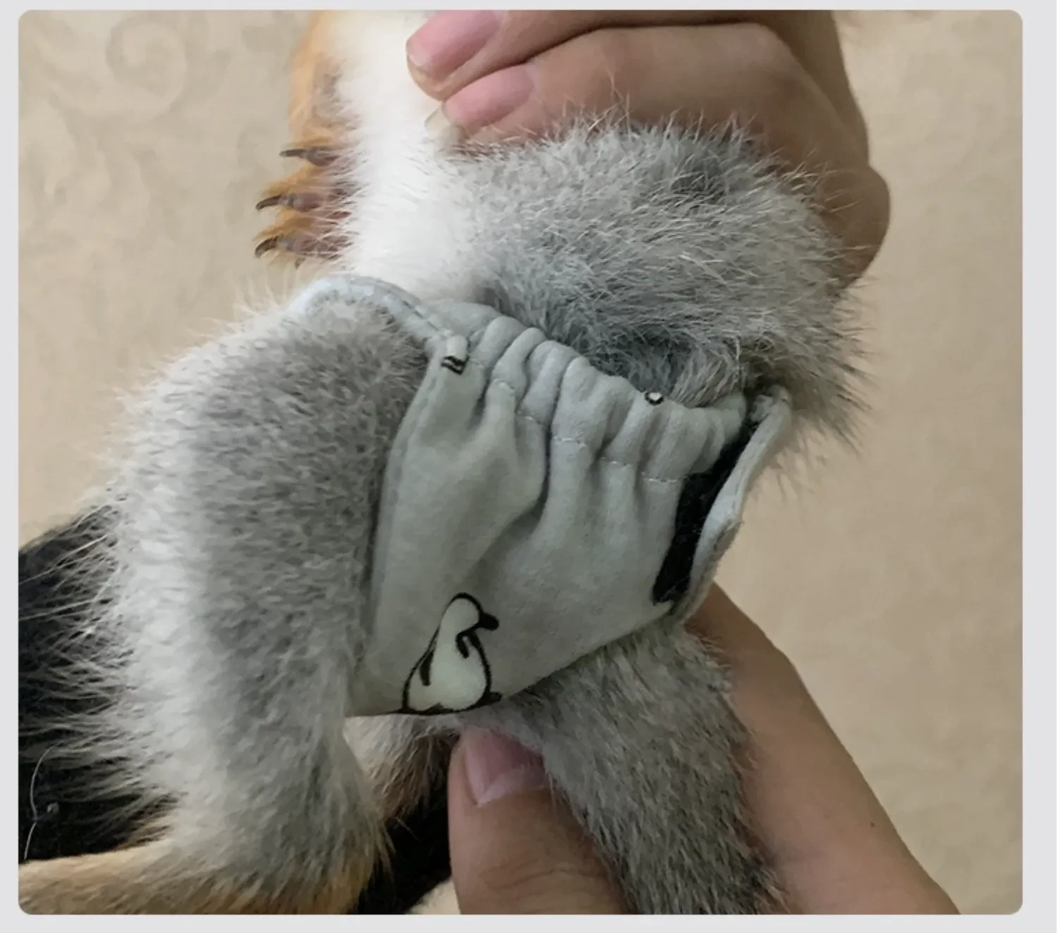 590903944402870272.png?x-oss-process=image/format,webp