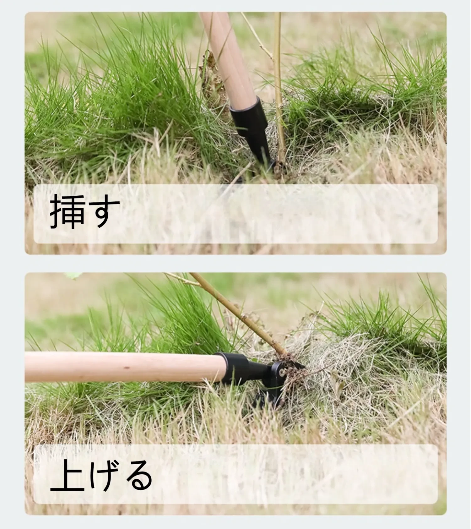594263496322097152.png?x-oss-process=image/format,webp