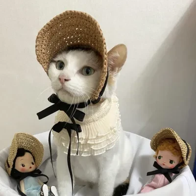 ペット帽子｜二点セット・日除け帽子・耳出し ・調整可能・かわいく出かけよう ！