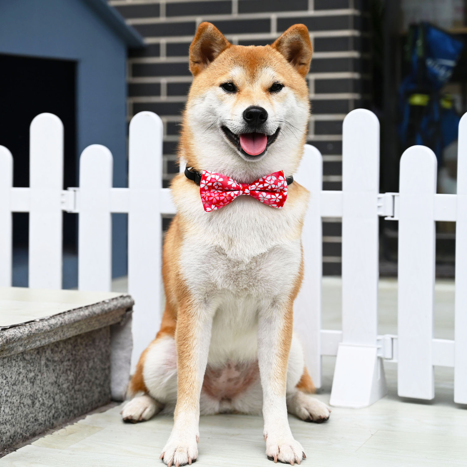 犬用首輪｜おしゃれ・調整可能・可愛い・写真撮影・アウトドア|undefined