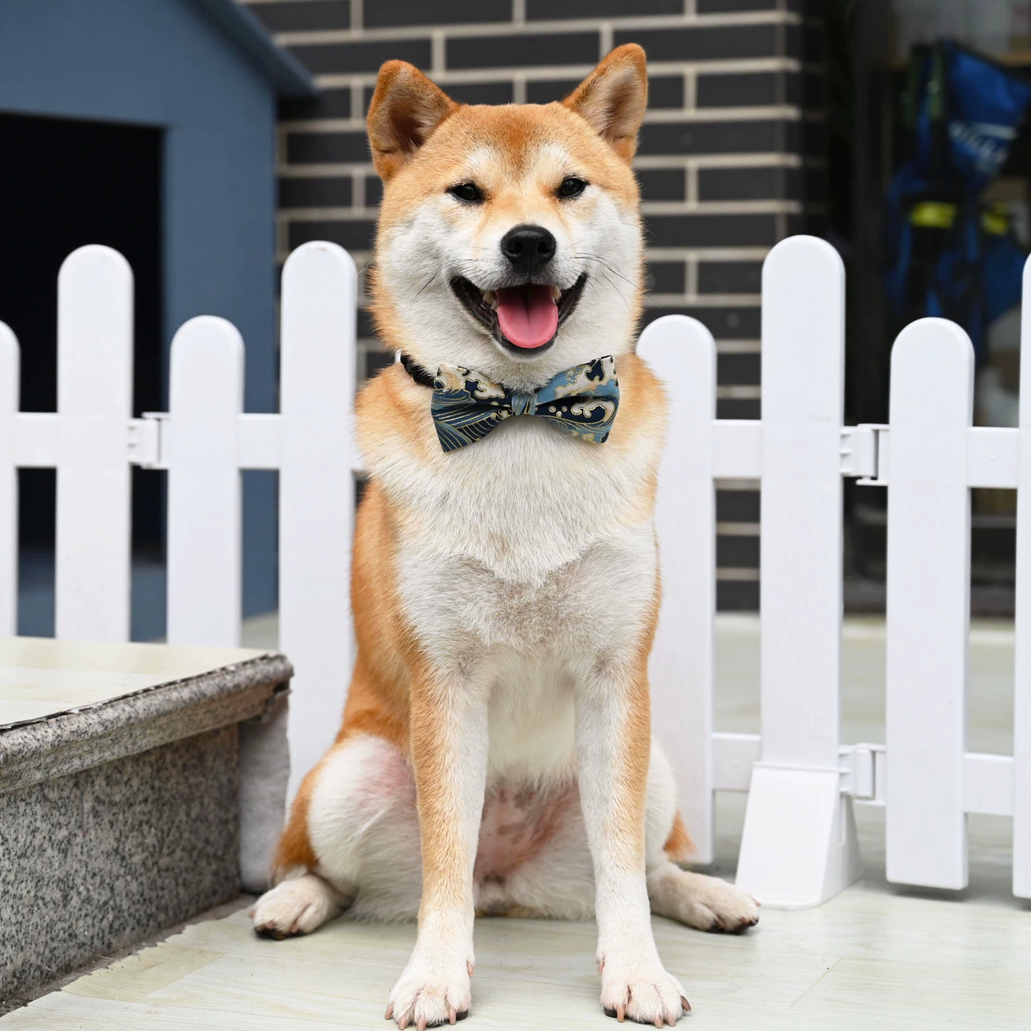 犬用首輪｜おしゃれ・調整可能・可愛い・写真撮影・アウトドア|undefined