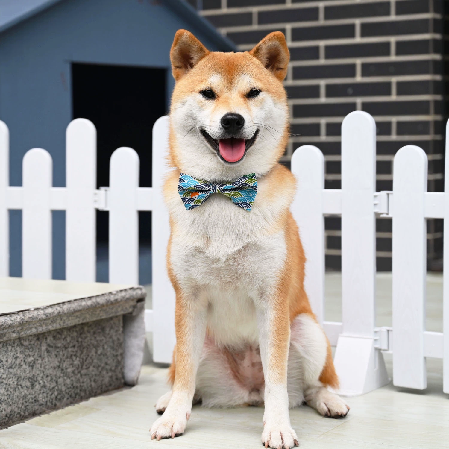 犬用首輪｜おしゃれ・調整可能・可愛い・写真撮影・アウトドア|undefined