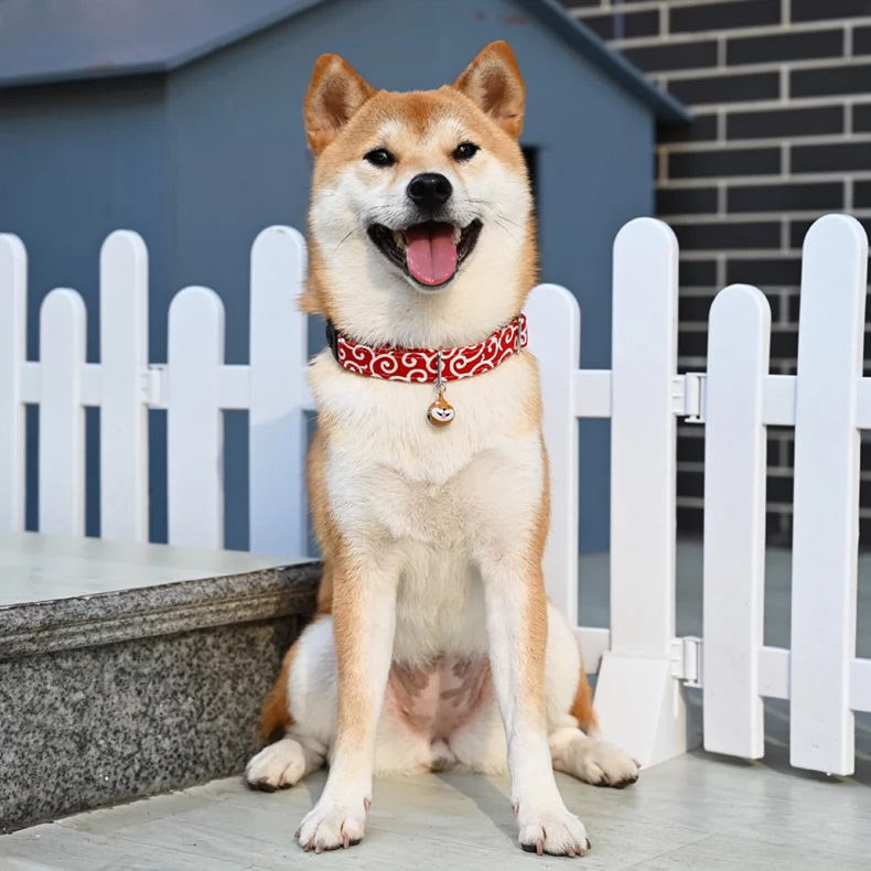 犬用首輪｜唐草模様・鈴付き・お出かけ・写真撮影・和風デザイン
|undefined