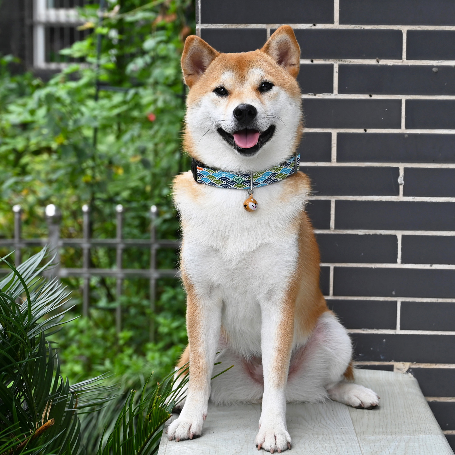 犬用首輪｜唐草模様・鈴付き・お出かけ・写真撮影・和風デザイン
|undefined