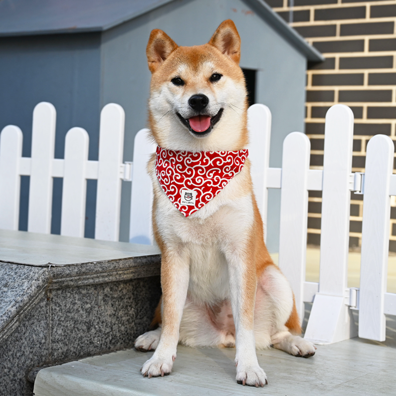 犬用首輪｜唐草模様・鈴付き・お出かけ・写真撮影・和風デザイン
|undefined