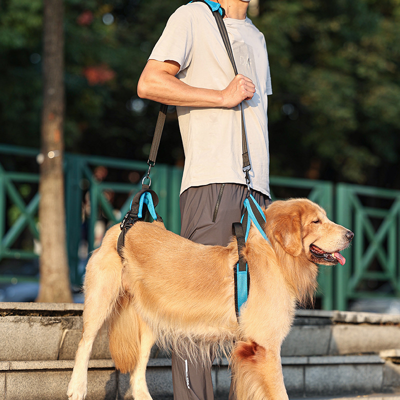 犬用歩行補助ハーネス｜老犬の前足と後足の補助 介護リハビリにも利用可能 |undefined