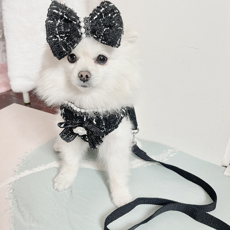 犬用ハーネス＋リード｜ 散歩・2点セット・小型犬・おしゃれくお出かけ～|undefined