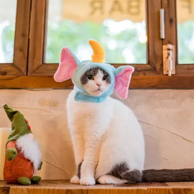 「ペットちゃんの変身！」かわいい猫用帽子｜柔らかい素材 ペット用写真道具