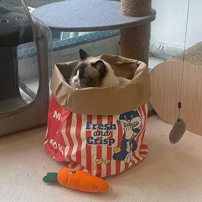 「猫の天性を満足」猫のクラフトペーパー袋おもちゃ｜室内で遊べるペットおもちゃ
