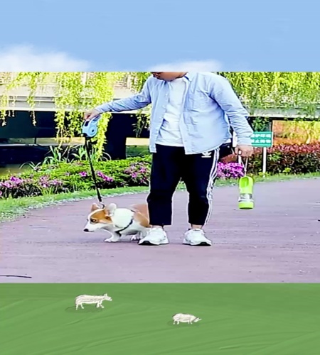 紹介動画