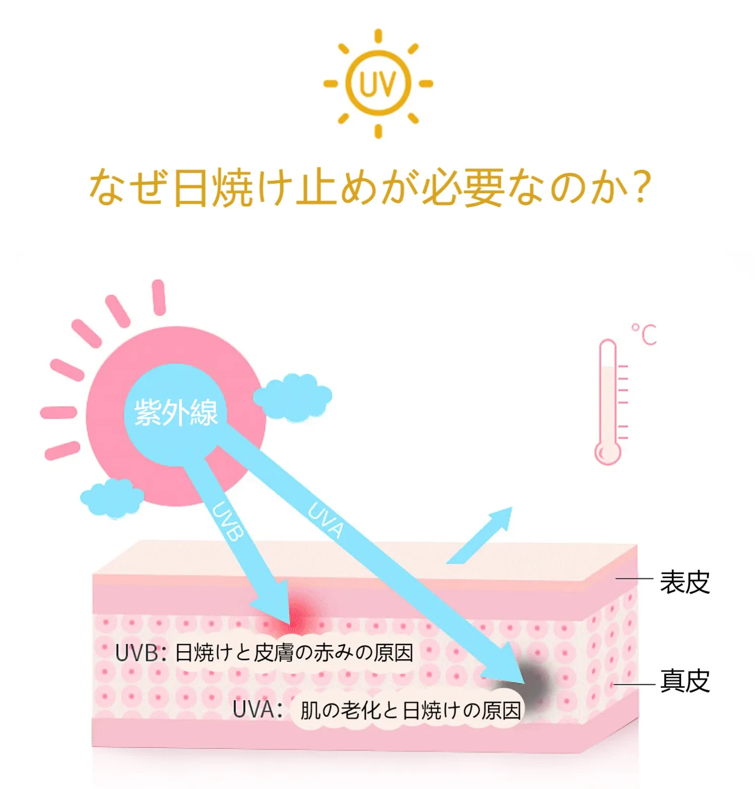 601792368785661952.png?x-oss-process=image/format,webp