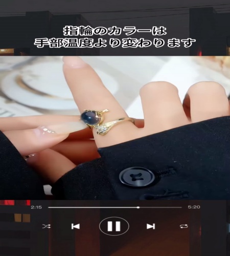 紹介動画
