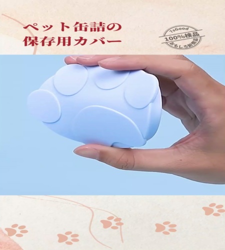 紹介動画