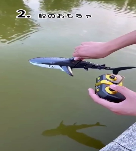 紹介動画