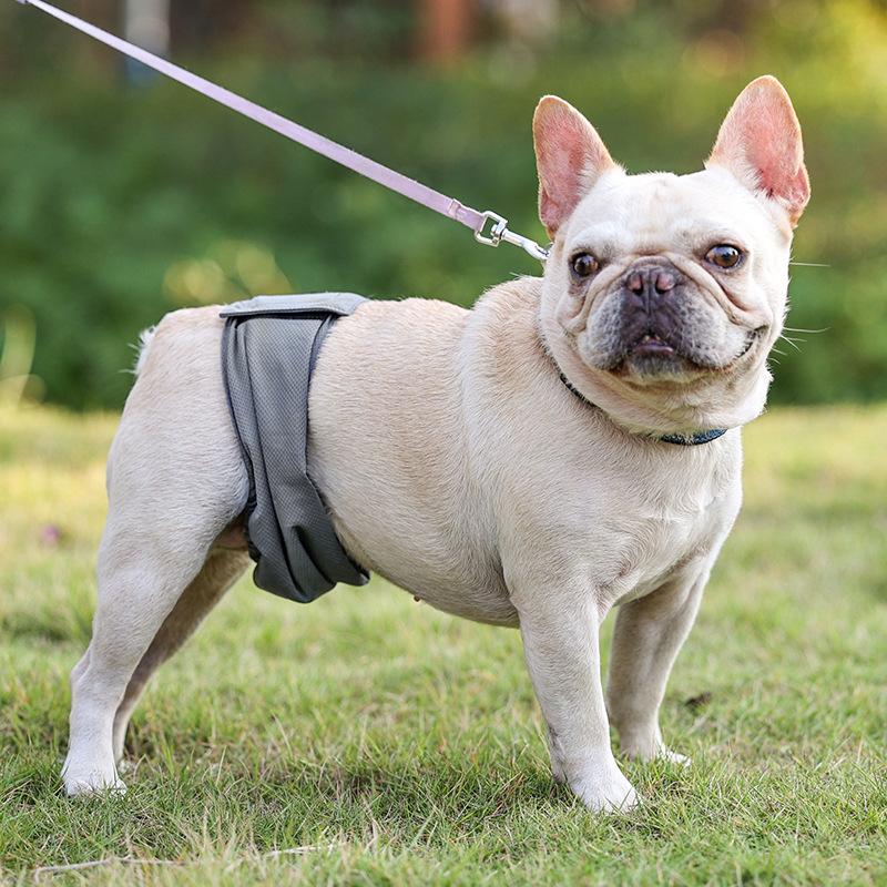 犬用おむつ｜犬用パンツ 男の子用 お漏らし対策 マーキング防止 通気性 吸水性良い 再利用可能|undefined