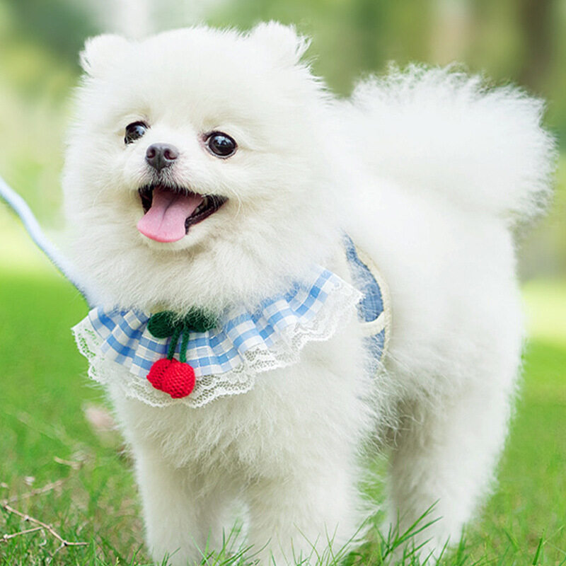【KARA PET】ペット用ストラップ｜ハーネスタイプの犬猫用胸部ストラップ、中小型犬や猫のためのストラップ|undefined