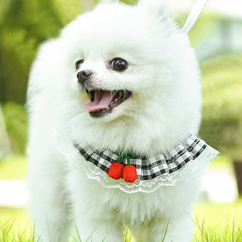 【KARA PET】ペット用ストラップ｜ハーネスタイプの犬猫用胸部ストラップ、中小型犬や猫のためのストラップ|undefined