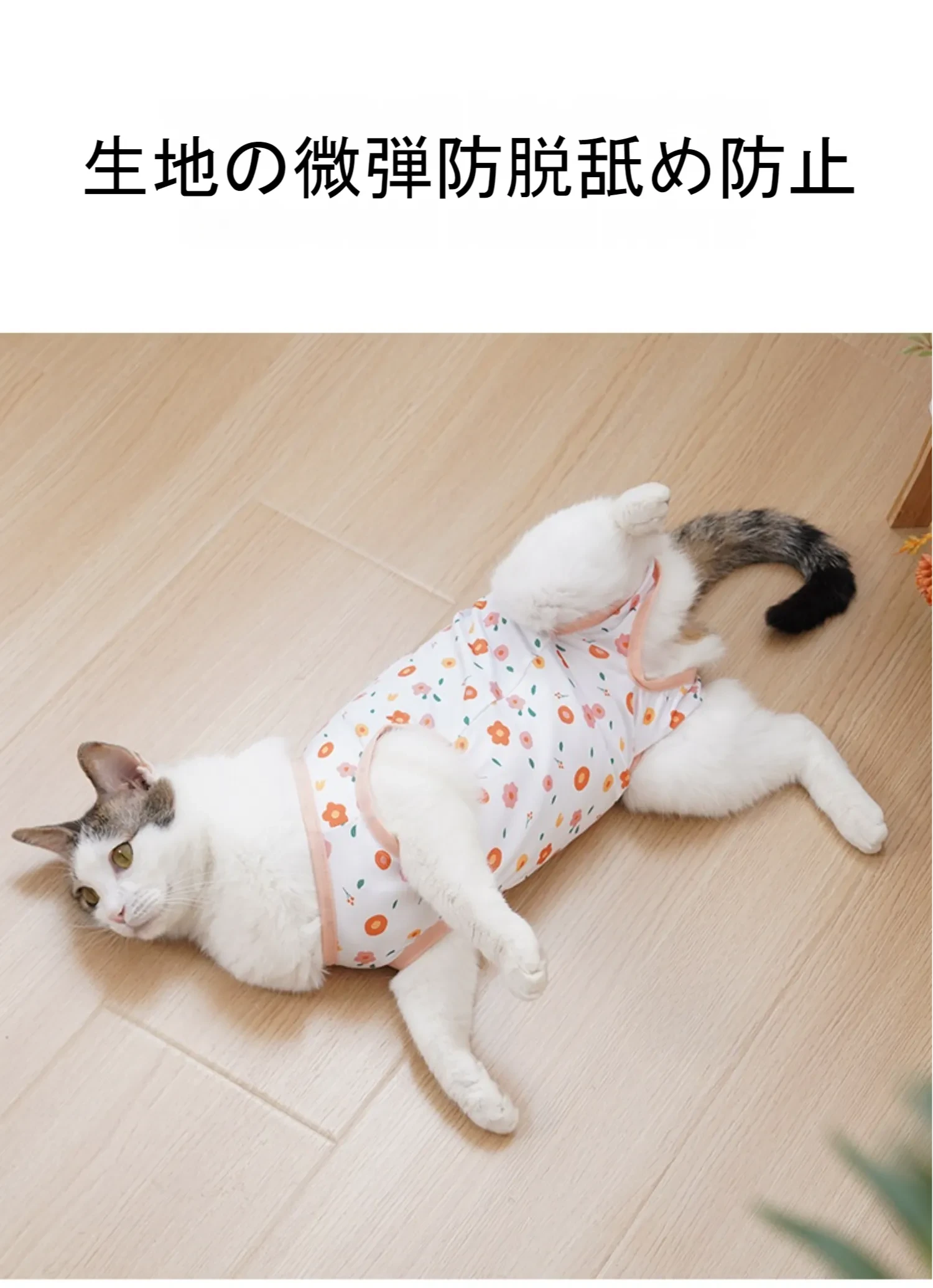 611606338384080896.png?x-oss-process=image/format,webp
