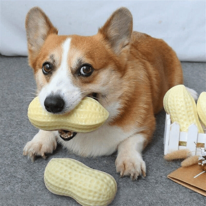 【KARA PET】犬用おもちゃ｜歯を磨く・噛みにくい・音を出す・退屈解消・おもちゃ・厚みのある・ピーナッツ・中型犬・大型犬|undefined