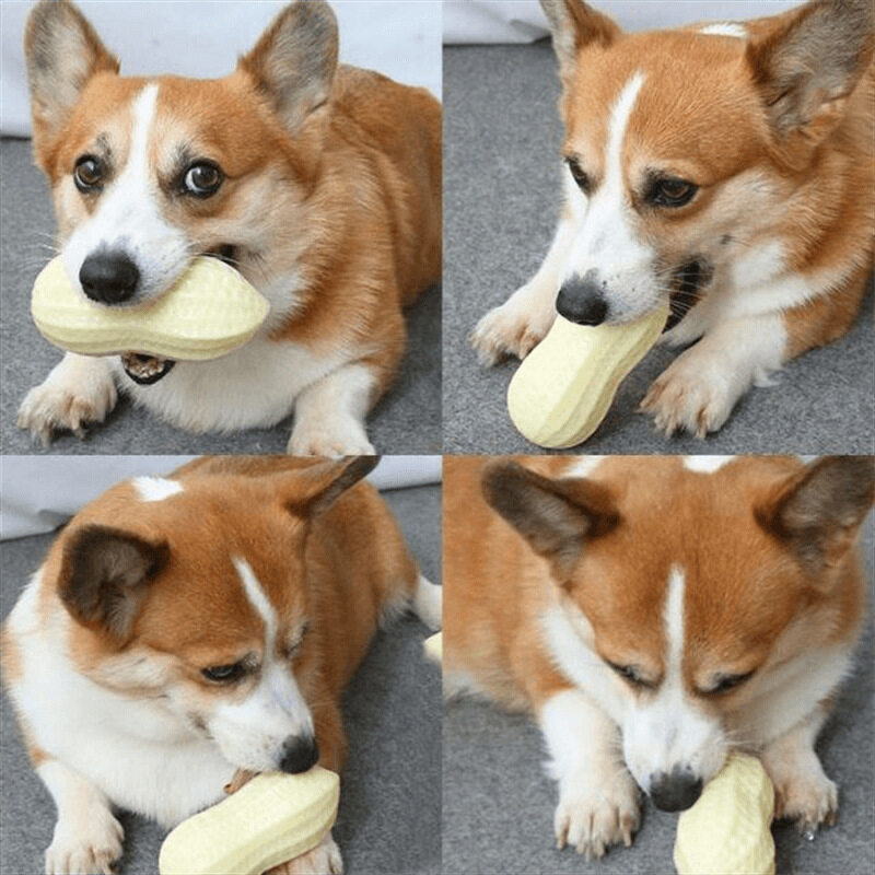 【KARA PET】犬用おもちゃ｜歯を磨く・噛みにくい・音を出す・退屈解消・おもちゃ・厚みのある・ピーナッツ・中型犬・大型犬|undefined