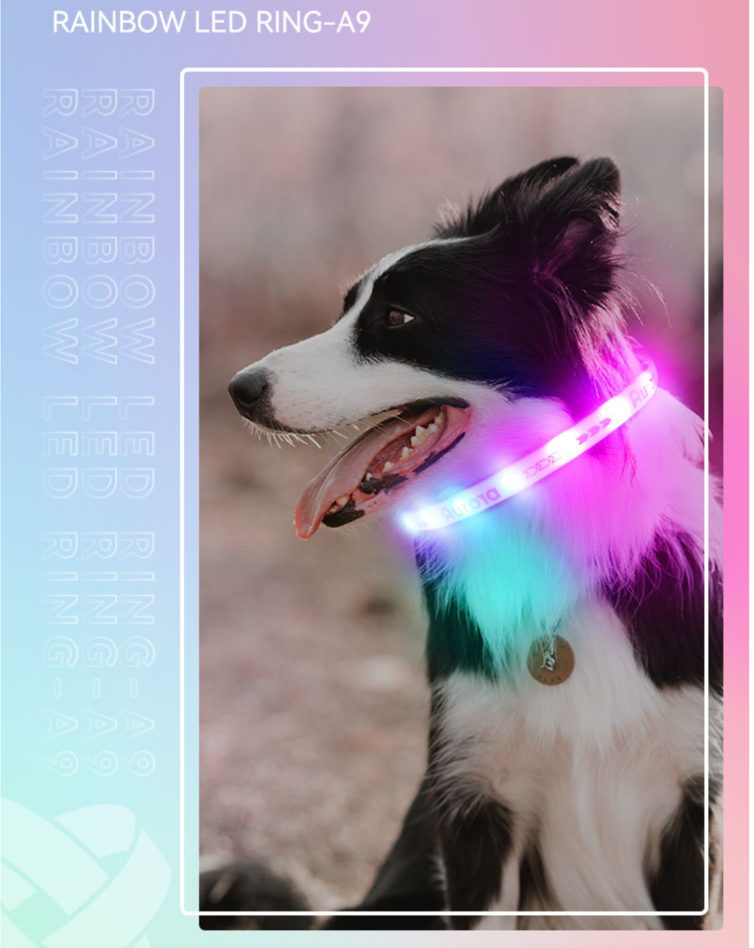 夜間散歩用犬首輪｜LEDライト付き USB充電式 防水素材 サイズ調整可能 | ペット用品 | 7sGood通販 | 株式会社HHO