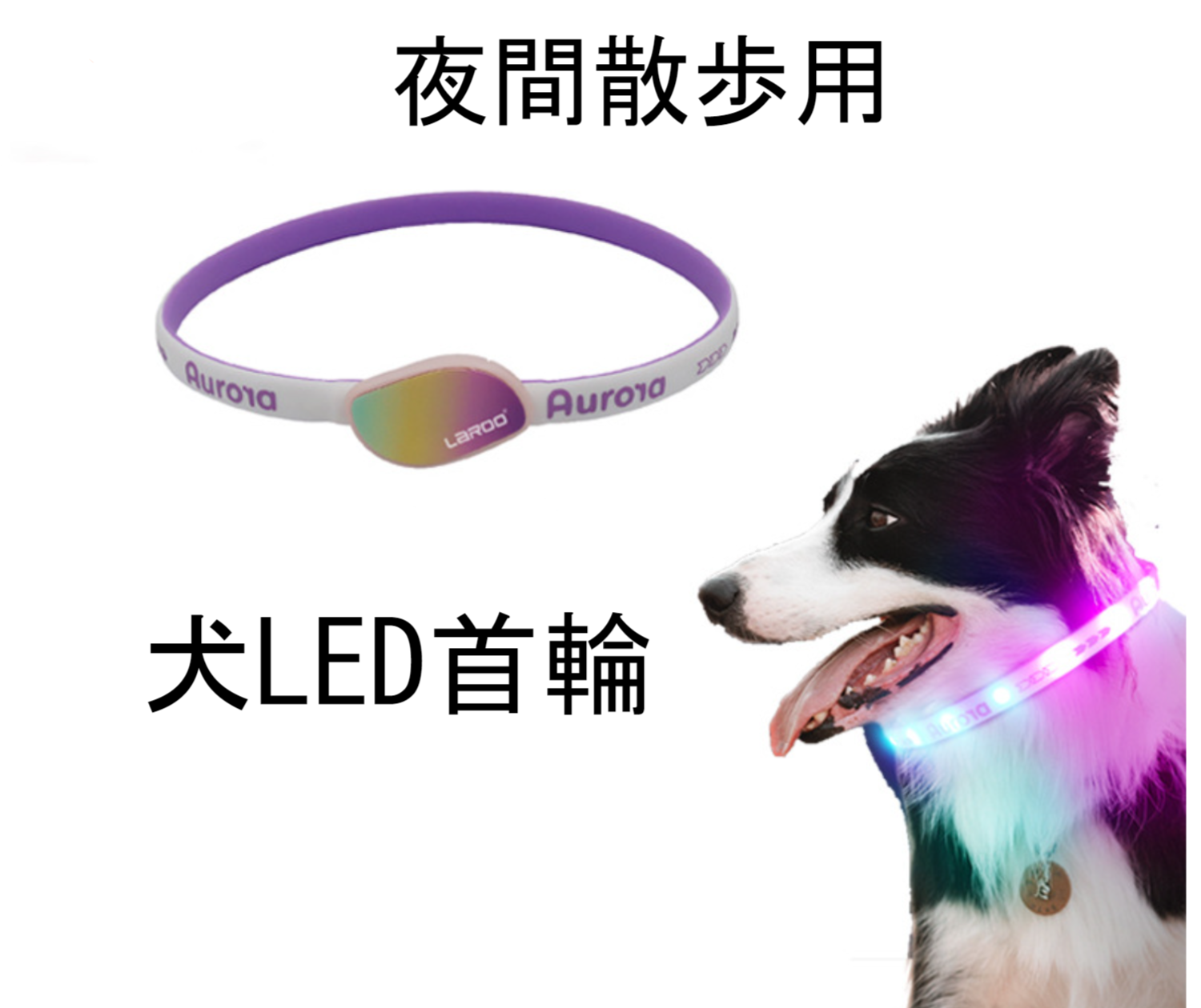 LaRoo 犬猫用 ペンダントライト LED 充電式 夜間 散歩用 犬の安全のために 首輪 光る キラキラ 防水 調節可能 簡潔 軽い 超小型犬~超大型犬に対応 ペット用品 (透明シェル-緑)