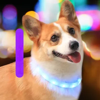 【KARA PET】ルーパー・夜用・散歩する・パオメイトウ・紛失防止・発光・USBチョウデン・ロープ・LED・ルコウトウ