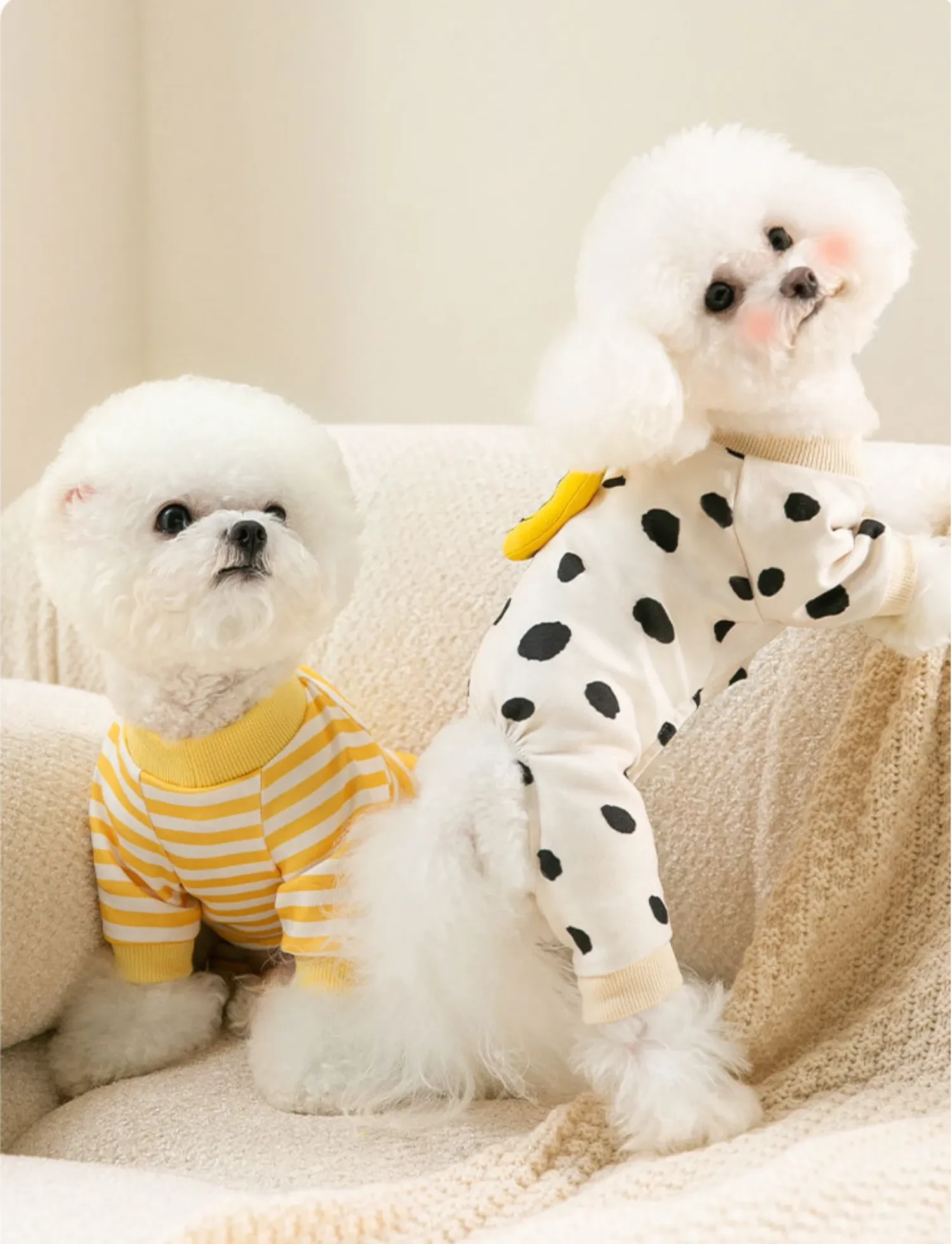 617388206832398336.png?x-oss-process=image/format,webp