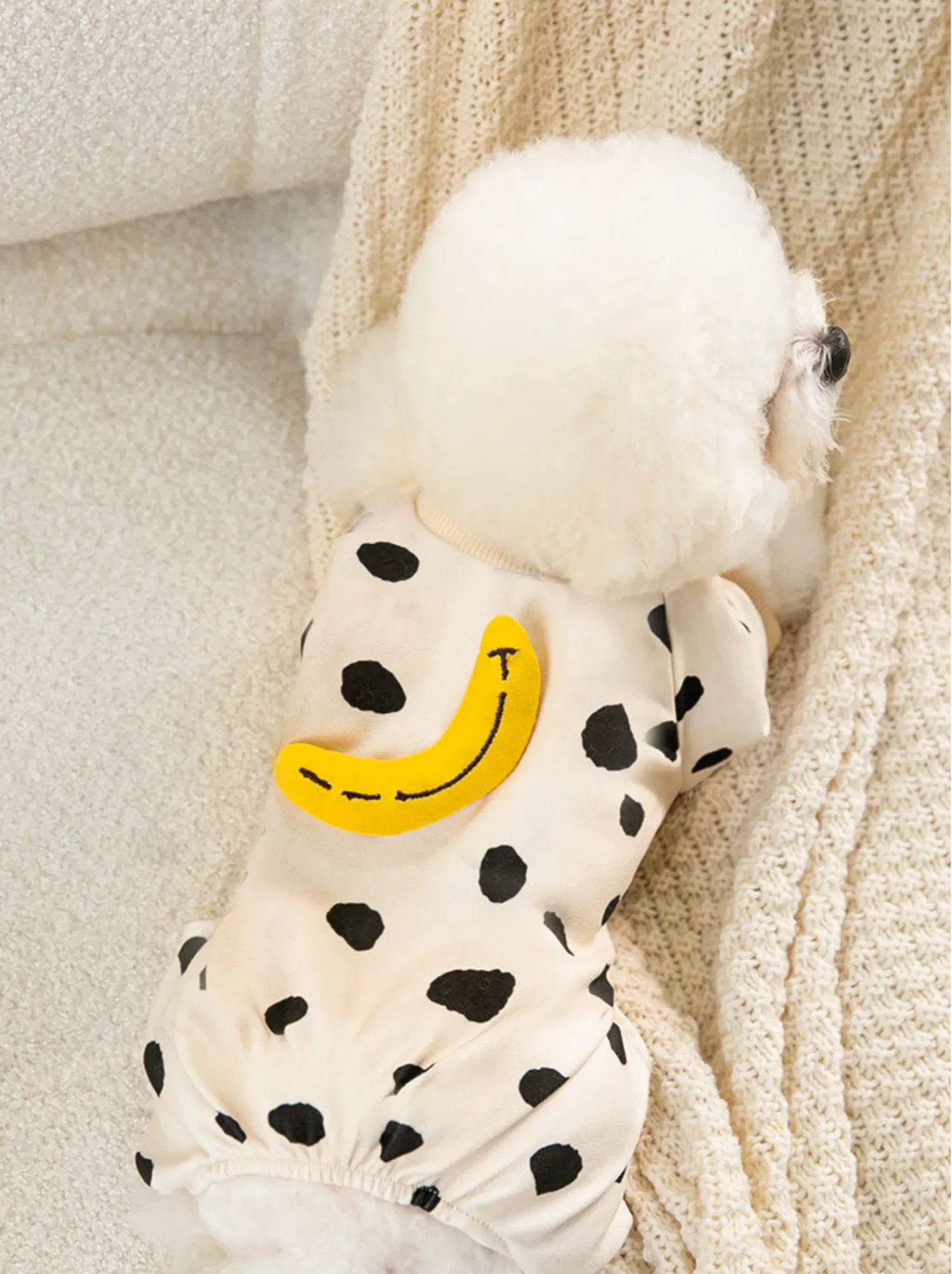 617388207558008832.png?x-oss-process=image/format,webp