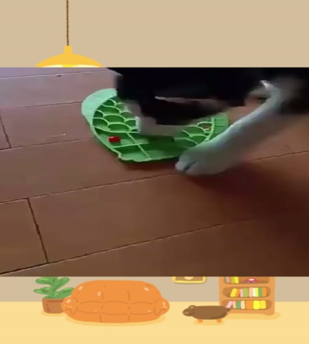 紹介動画