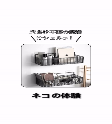 実物検証