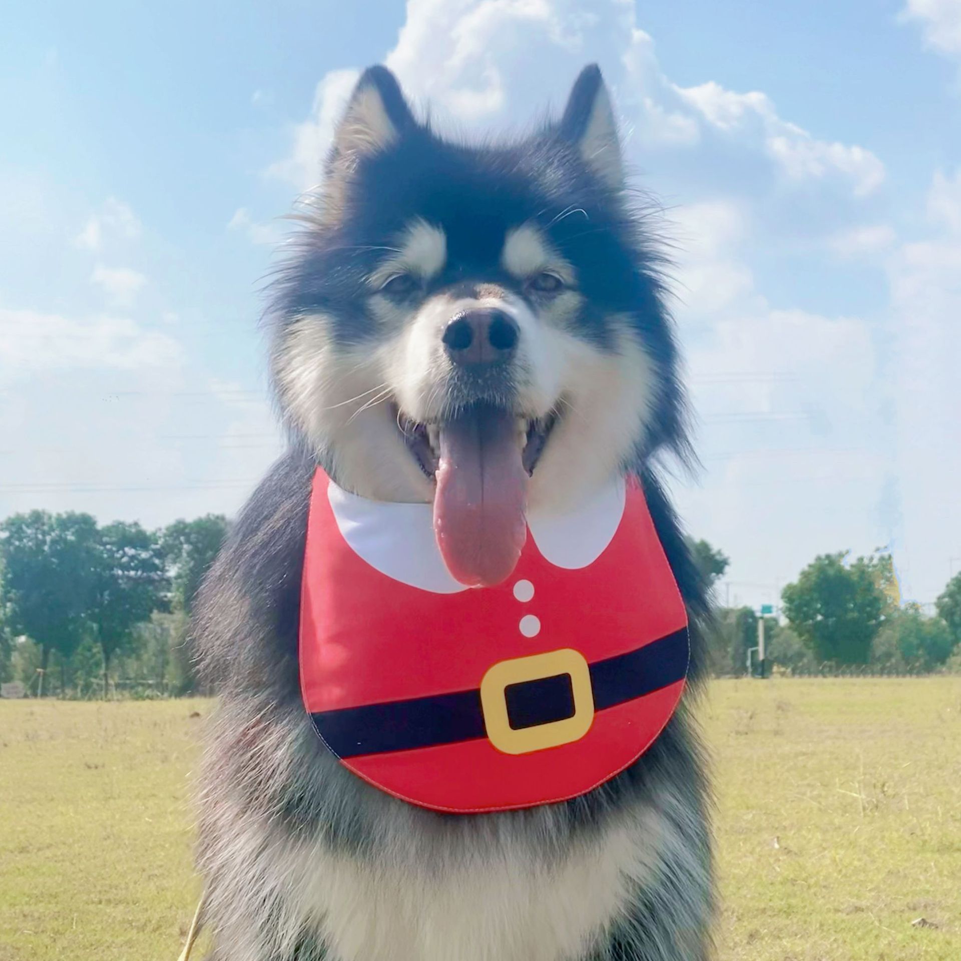 犬用よだれかけ｜クリスマス 中大型犬 かわいい  洗いやすい お散歩 お出かけ|undefined