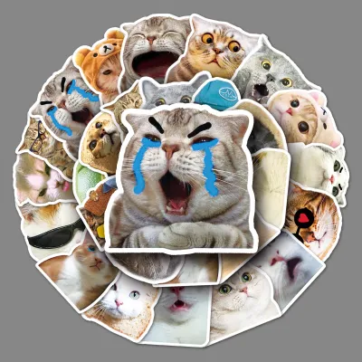 可愛い猫のステッカー | 50枚・ネットで人気・表情パック・DIY・スマホ・スーツケース・防水