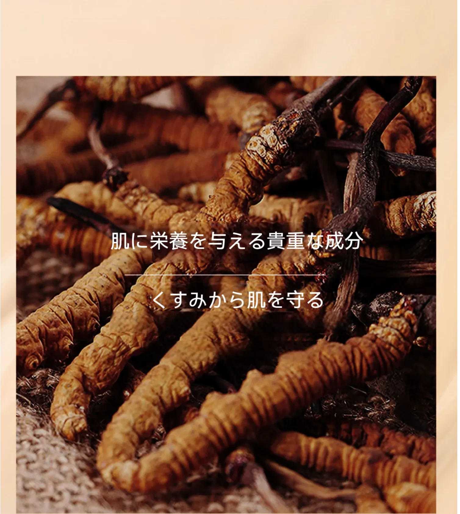 641595382199136256.png?x-oss-process=image/format,webp