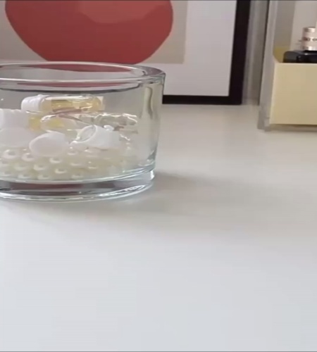 紹介動画