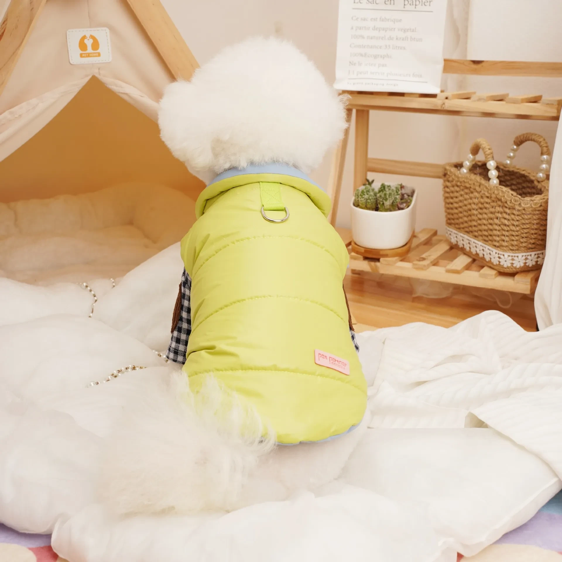 644129374915960832.jpg?x-oss-process=image/format,webp