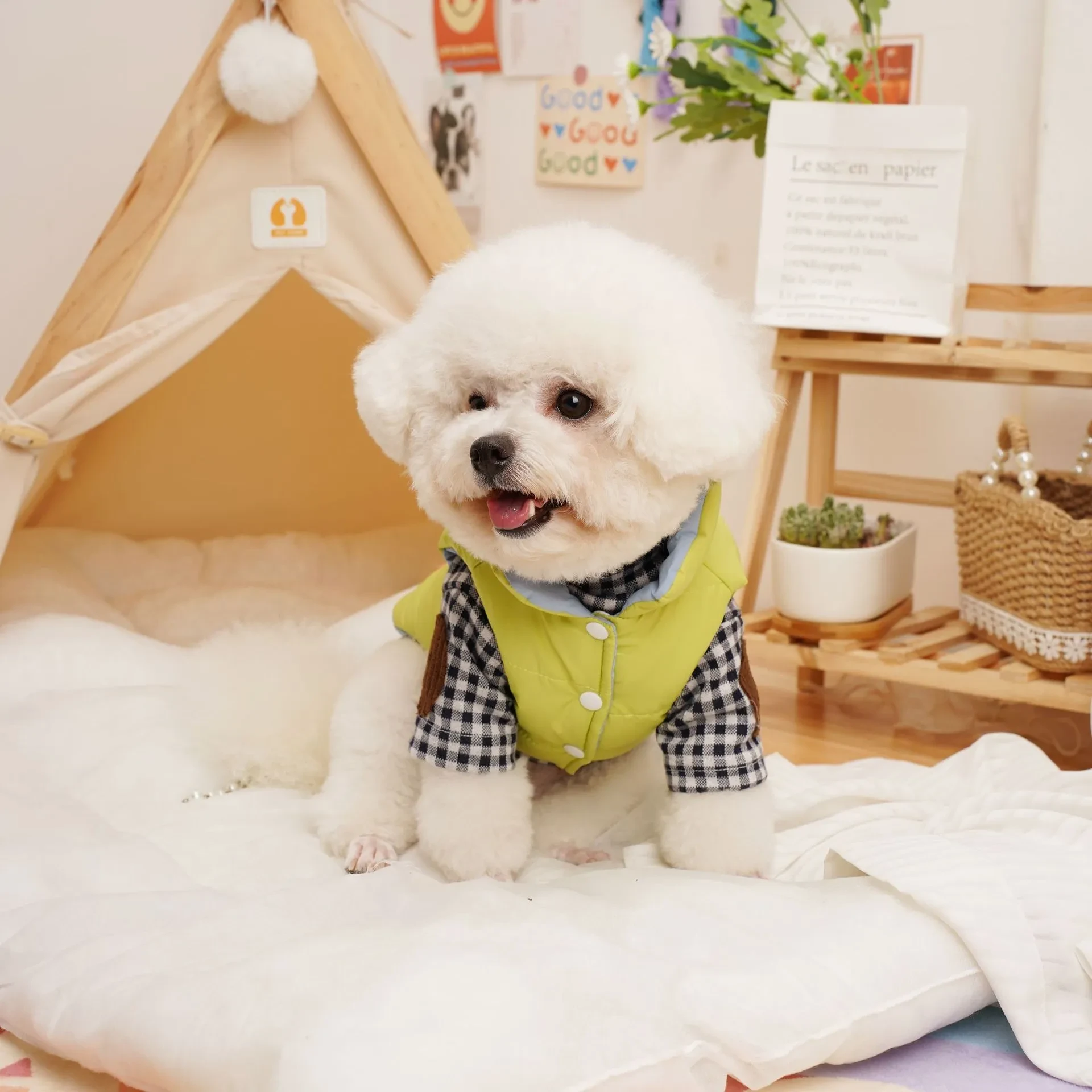 644129384827105280.jpg?x-oss-process=image/format,webp