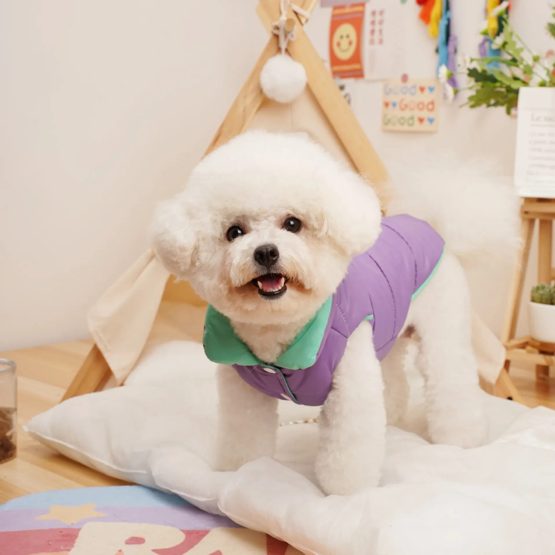 644129392079052800.jpg?x-oss-process=image/format,webp