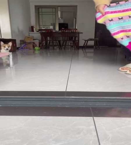 紹介動画